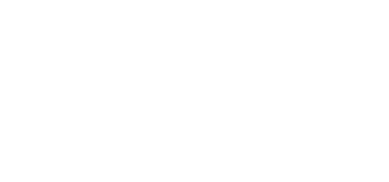 INCT Wetscape