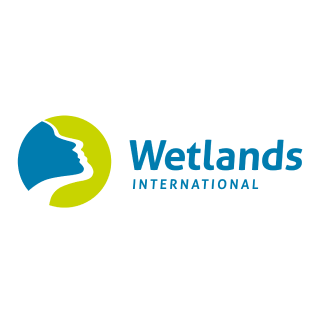 logoWetlandsBrasil